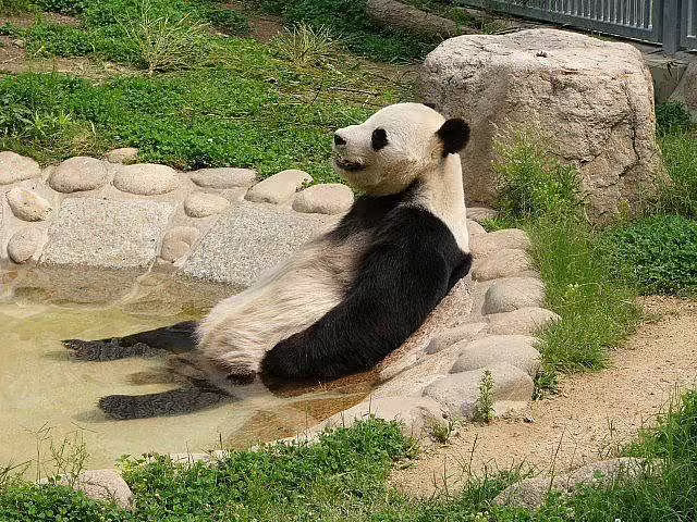 foto-